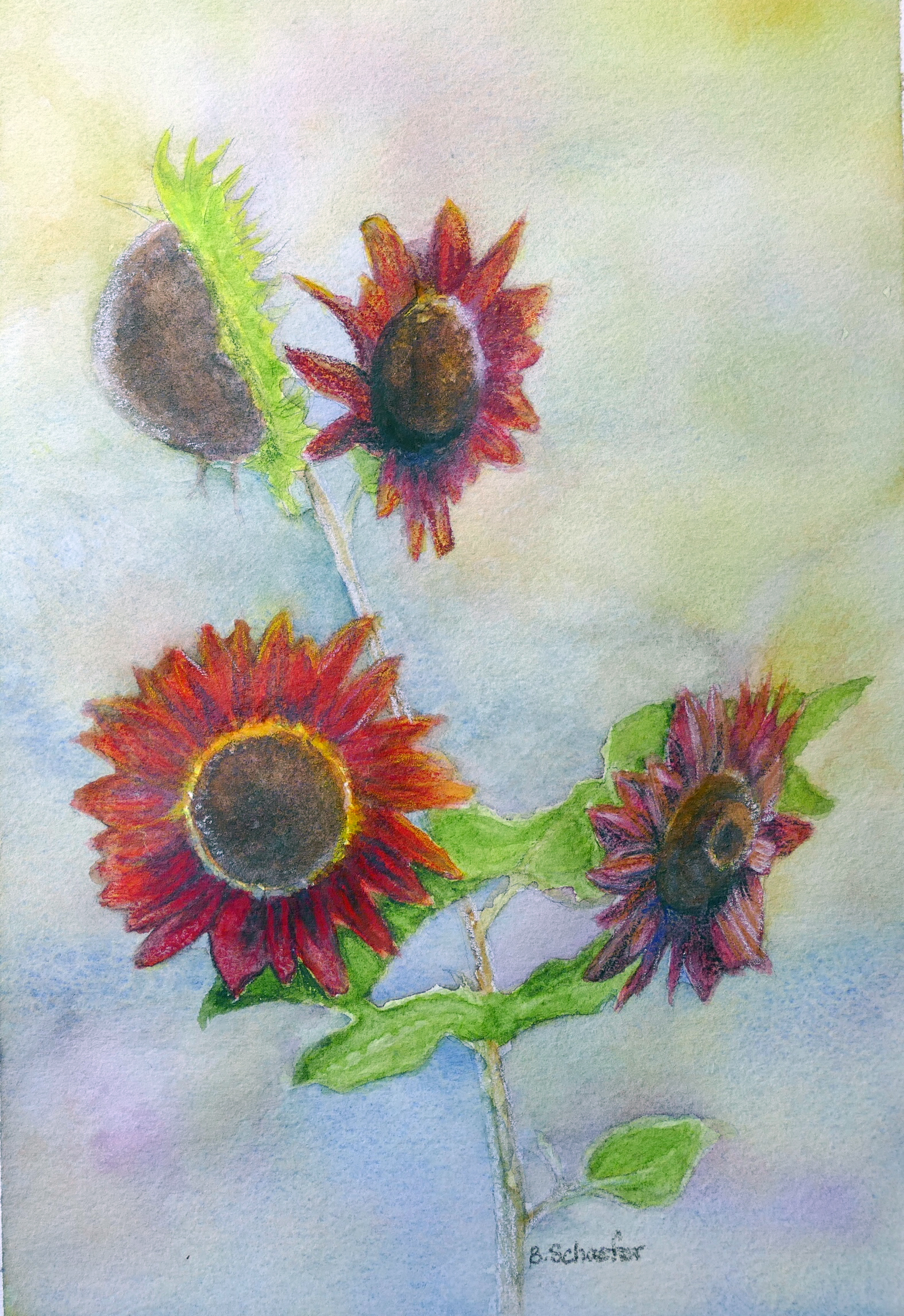 Red Sunflowers Bill Schaefer Fine Art 