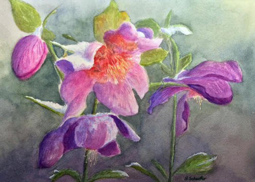 Lenten Roses (Original available)