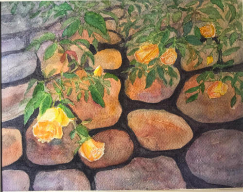 Roses on Rock Wall (Original available)