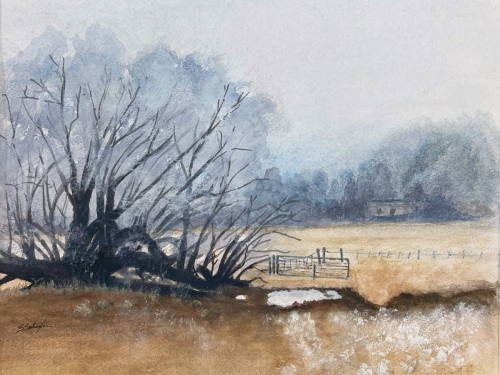 Snowy-Field